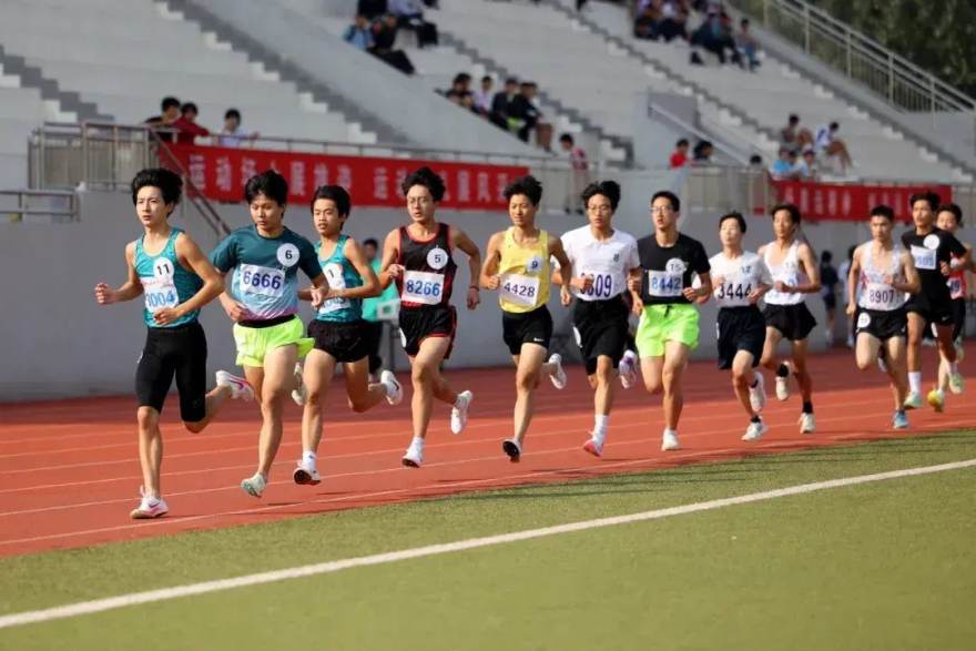 从康复室到赛道：一位业余跑者的三年重返之路